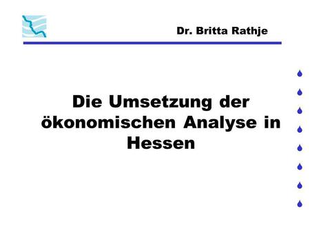 Die Umsetzung der ökonomischen Analyse in Hessen