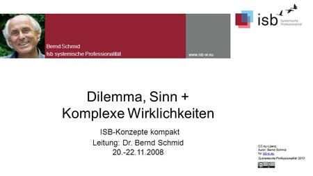 Bernd Schmid Isb systemische Professionalität