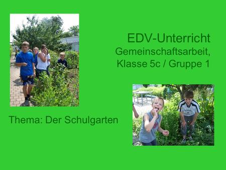 EDV-Unterricht Gemeinschaftsarbeit, Klasse 5c / Gruppe 1