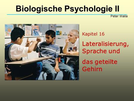 Biologische Psychologie II