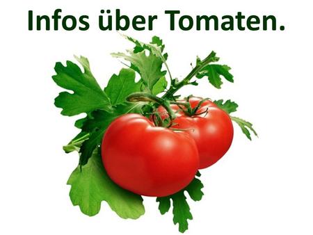 Infos über Tomaten..