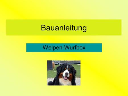 Bauanleitung Welpen-Wurfbox.
