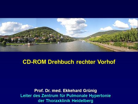 CD-ROM Drehbuch rechter Vorhof