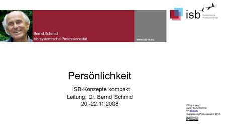 Bernd Schmid Isb systemische Professionalität