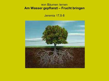 von Bäumen lernen Am Wasser gepflanzt – Frucht bringen Jeremia 17,5-8