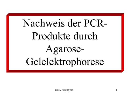 Nachweis der PCR-Produkte durch Agarose-Gelelektrophorese