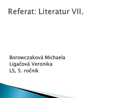 Referat: Literatur VII.