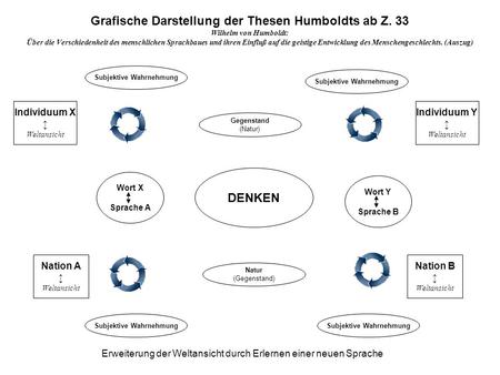 Grafische Darstellung der Thesen Humboldts ab Z. 33 DENKEN