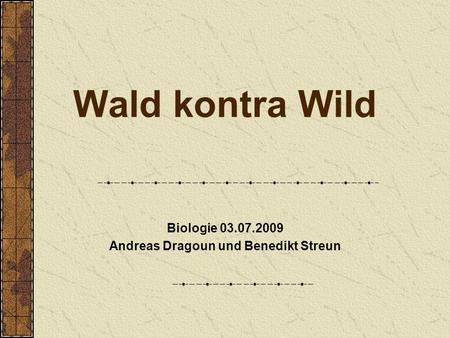 Biologie Andreas Dragoun und Benedikt Streun