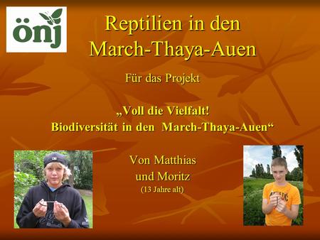 Reptilien in den March-Thaya-Auen
