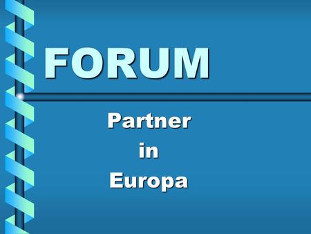 FORUM PartnerinEuropa. FORUM – ein neues Projekt der Geschwister- Scholl-Realschule Teil des COMENIUS-Projekts, einem Bildungsprojekt der Europäischen.
