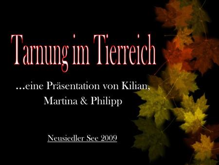 …eine Präsentation von Kilian, Martina & Philipp