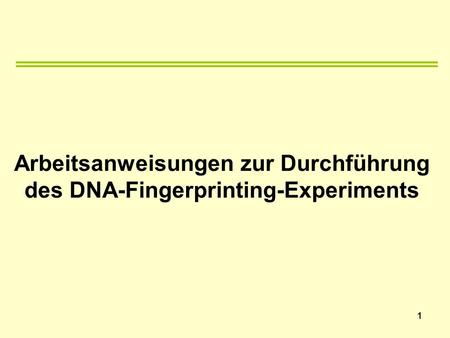 Arbeitsanweisungen zur Durchführung des DNA-Fingerprinting-Experiments
