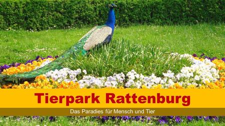 Tierpark Rattenburg Das Paradies für Mensch und Tier.