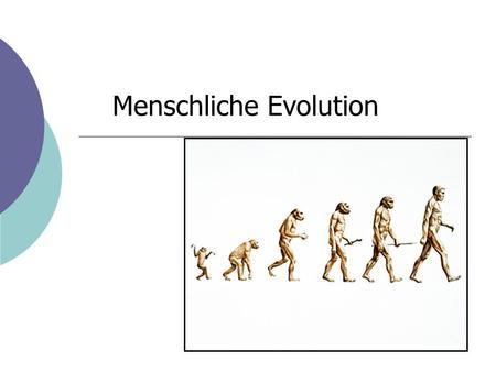Menschliche Evolution