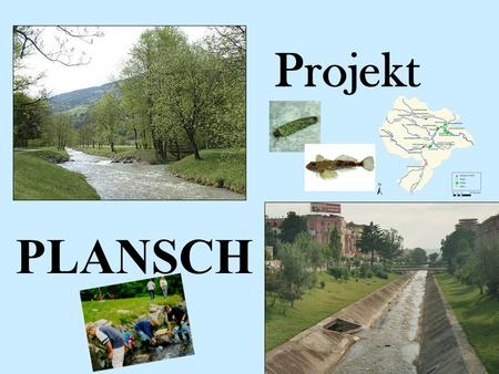 Projekt PLANSCH.