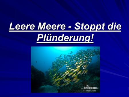 Leere Meere - Stoppt die Plünderung!
