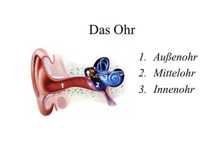 Das Ohr Außenohr Mittelohr Innenohr.