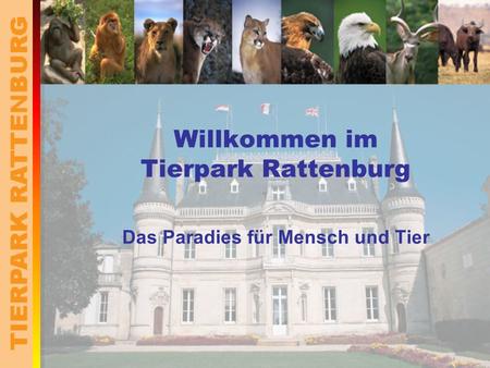 Willkommen im Tierpark Rattenburg Das Paradies für Mensch und Tier.