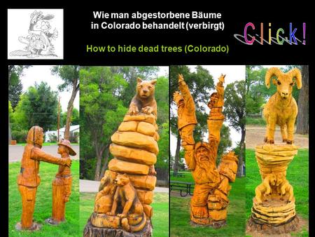 Wie man abgestorbene Bäume in Colorado behandelt (verbirgt) How to hide dead trees (Colorado)
