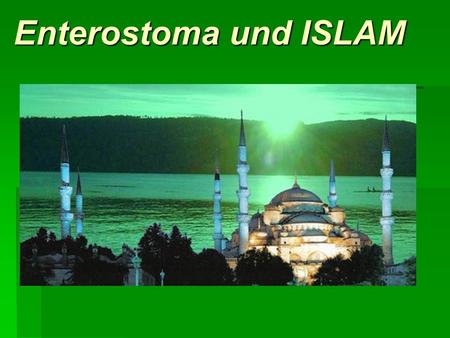 Enterostoma und ISLAM.
