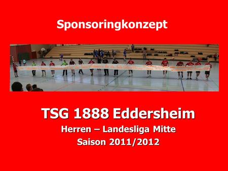 TSG 1888 Eddersheim Herren – Landesliga Mitte Saison 2011/2012