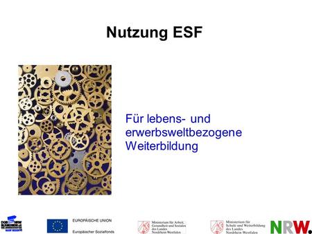 Nutzung ESF Für lebens- und erwerbsweltbezogene Weiterbildung.