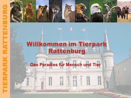 Das Paradies für Mensch und Tier TIERPARK RATTENBURG Überblick Geschichte des Tierparks Anfahrt und Lage Unsere Tiere Forschung und Wissenschaft Zahlen.