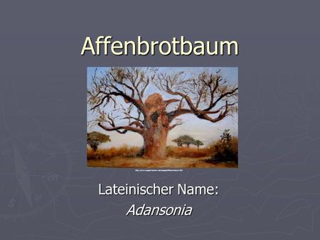 Lateinischer Name: Adansonia