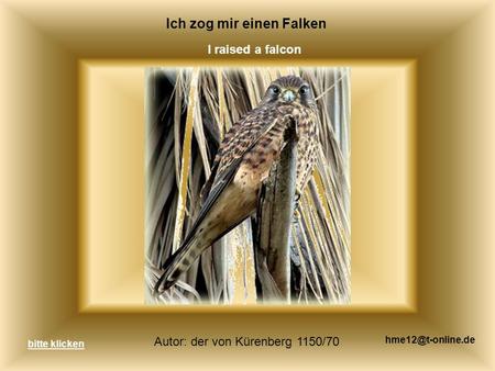 Ich zog mir einen Falken I raised a falcon Autor: der von Kürenberg 1150/70 bitte klicken