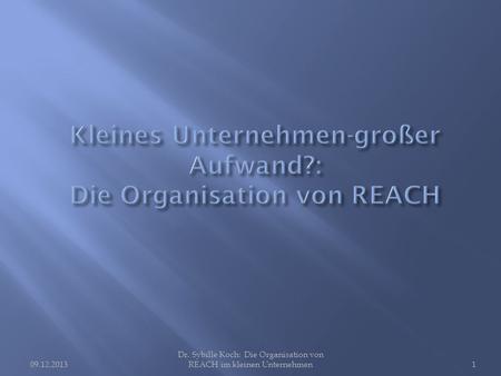 09.12.2013 Dr. Sybille Koch: Die Organisation von REACH im kleinen Unternehmen1.