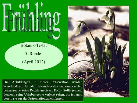 Frühling Botanik-Testat 5. Runde (April 2012)
