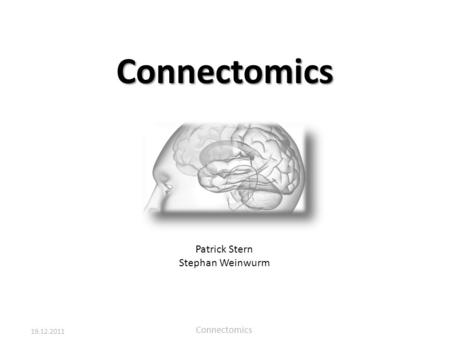 Connectomics Patrick Stern Stephan Weinwurm.