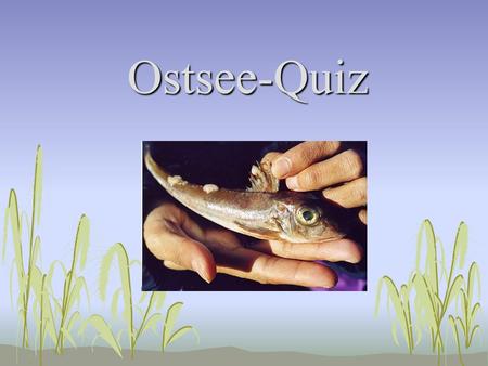 Ostsee-Quiz.