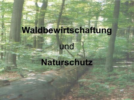 Waldbewirtschaftung und Naturschutz.