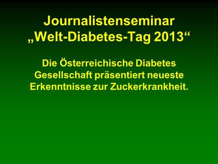 Journalistenseminar „Welt-Diabetes-Tag 2013“