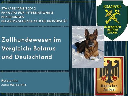 Zollhundewesen im Vergleich: Belarus und Deutschland