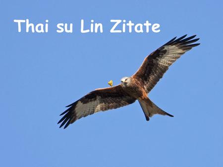 Thai su Lin Zitate.