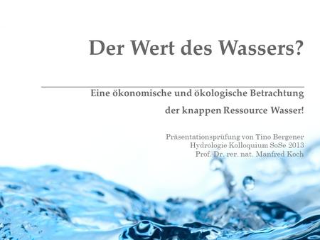 Der Wert des Wassers? Eine ökonomische und ökologische Betrachtung