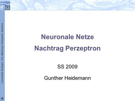 Neuronale Netze Nachtrag Perzeptron