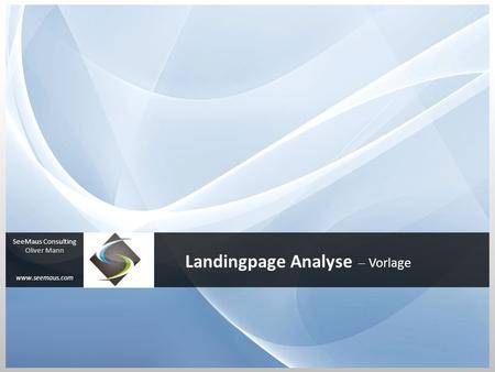 Landingpage Analyse Vorlage SeeMaus Consulting Oliver Mann www.seemaus.com.