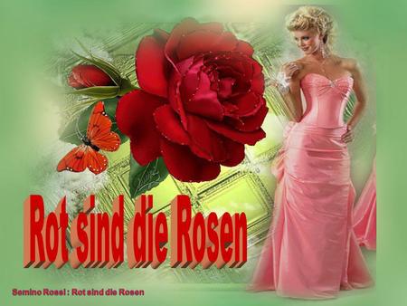 Rot sind die Rosen Semino Rossi : Rot sind die Rosen.