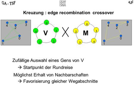 0 2 4 3 1 0 4 2 3 1 VM Kreuzung : edge recombination crossover 0 2 3 4 1 0 2 3 4 1 Zufällige Auswahl eines Gens von V Startpunkt der Rundreise Möglichst.