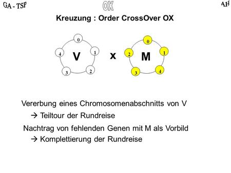 0 2 4 3 1 0 4 2 3 1 VM Kreuzung : Order CrossOver OX x Vererbung eines Chromosomenabschnitts von V Teiltour der Rundreise Nachtrag von fehlenden Genen.