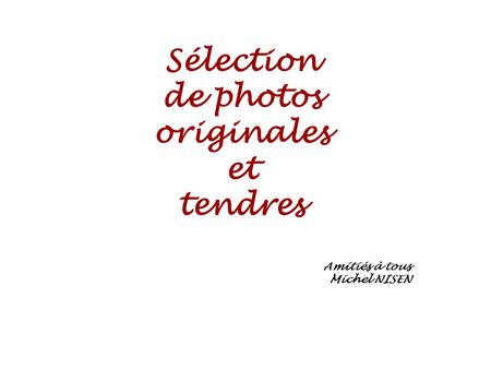 Sélection de photos originales et tendres Amitiés à tous Michel NISEN.