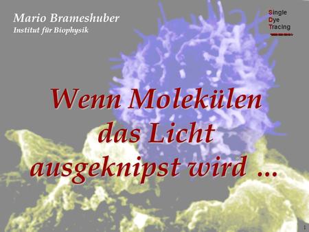 1 Mario Brameshuber Institut für Biophysik Single Dye Tracing Wenn Molekülen das Licht ausgeknipst wird …