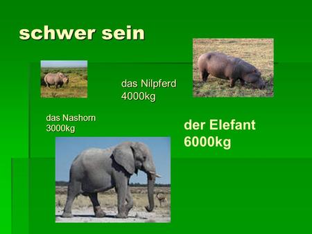 Schwer sein das Nilpferd 4000kg das Nashorn 3000kg der Elefant 6000kg.