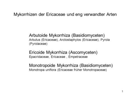 Mykorrhizen der Ericaceae und eng verwandter Arten