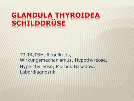 Glandula Thyroidea SCHILDDRÜSE