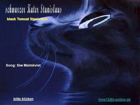 Song: Siw Malmkvist bitte klicken black Tomcat Stanislaus.